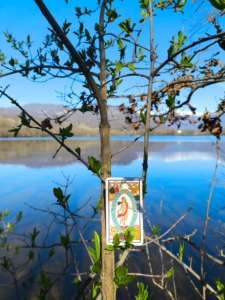 WhatsApp Image 2025-09-18 at 08.45.50